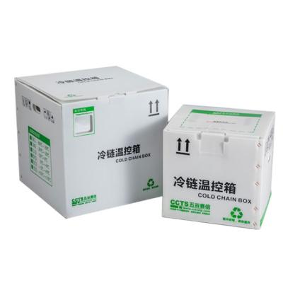 China Insulated 28 Liter Insulation thermal package Medical cooler box cold life 72~96 hours for pharmaceutical cold chain transportation for sale