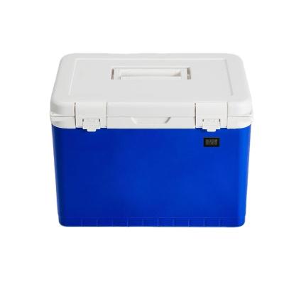 China Insulated Wholesale Stocked Small Cooler Box Portable Outdoor Camping Cans Beer Wine Cold Drink Storage Container Plastic Cooler for sale