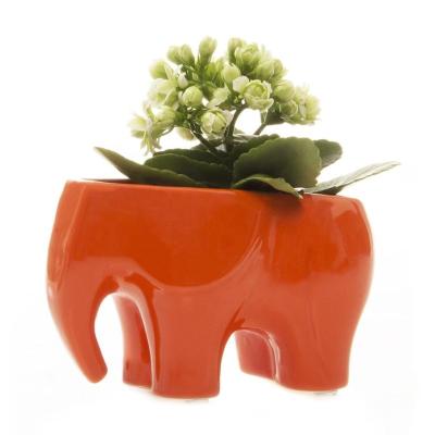 China Small Modern Decorative Elephant Animal Shaped Indoor Ceramic Flower Pot for sale