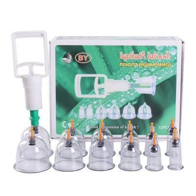 China Whole body Wholesale 12 Cans Chinese Medical  Vacuum Body Cupping  Therapy Device Physical Therapy Body Massager Set for sale