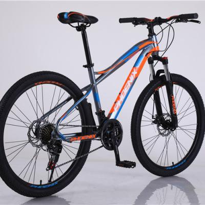 China Hot Selling Classic Iron Wholesale Classic Student To Commuter Bicycle Iron Road Shockproof Mountain Bike for sale