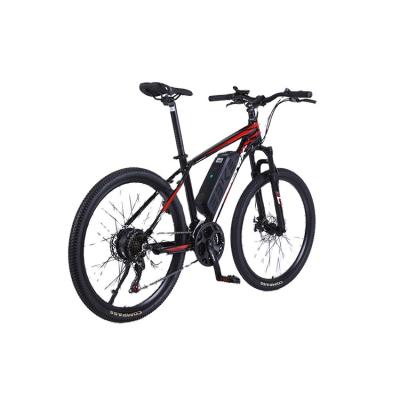 China Quality Guaranteed Suitable Price 36V 250W 2 Wheel Multifunctional Electric Bike E Bike Foldable for sale