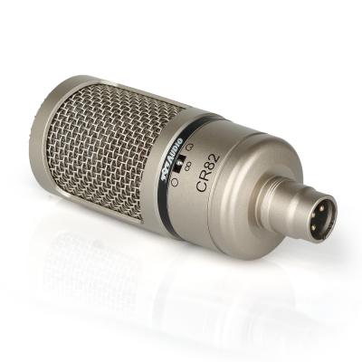 China 797Audio ACR02 Professional Recording Condenser Microphone for Professional Gaming,singing,audio and Living Program Speaker for sale