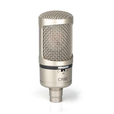 China 797AUDIO ACR02 Professional Studio Recording Condenser Microphone for Computer Singing,audio and Living Program Speaker Metal for sale