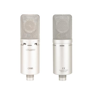 China Stage Performance Wired Microphone with Audio Interface and Vibration Resistance for sale