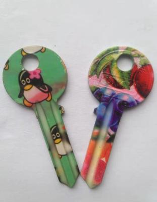 China Color cartoon shape key custom design key blank and keyway ul050 with cute colorful cartoon shapes for OSCAR XINGFA lock for sale