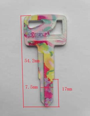 China Mute key painte with color pictures color key blanks painted with beautiful pictures of Chinese factory XINGFA key OSCAR for sale