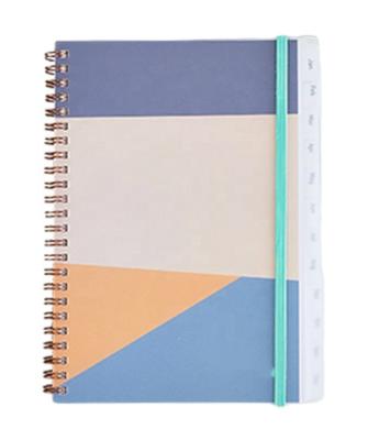 China Double Daily Weekly Daily Planner Promotional Product Money Budget Planner Double Coils Custom Spiral Notebooks for sale