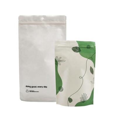 China BIODEGRADABLE 100% Biodegradable Compostable PLA Cornstarch Zipper Bag For Facemasks for sale