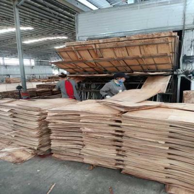 China Factory tunnel type core veneer drying machine for plywood for sale