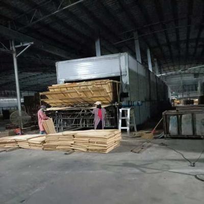 China Vertical Type Core Veneer Dryers Plant Tunnel Machine for sale