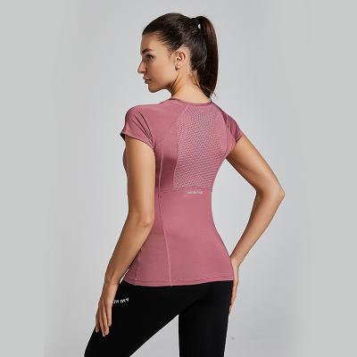 China New Breathable Stain NO MOQ Stretch Quick-Drying Round Neck Short Sleeve Sports Yoga Tops for sale