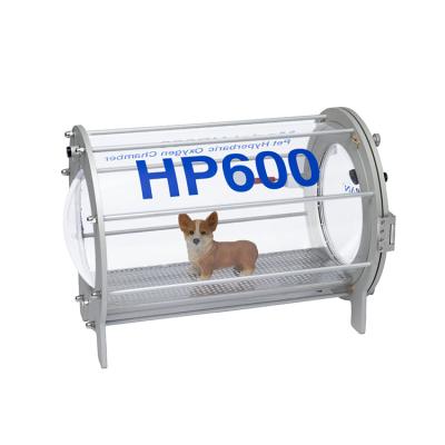 China Easy Operation Safety Veterinary Clinic Pet Equipment Hyperbaric Oxygen Chamber for sale