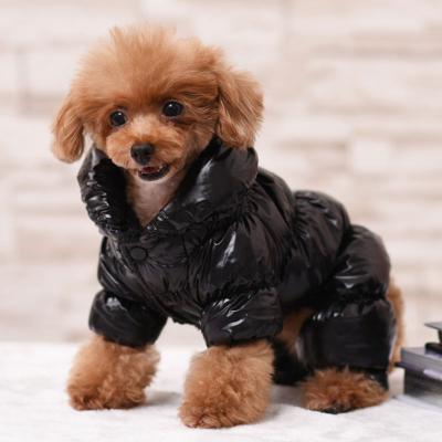 China Sustainable High End Luxury Fashionable Brand Zipper Dog Jacket Waterproof Dog Clothes Coat for sale