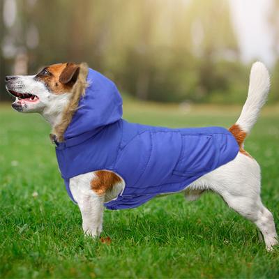 China Viable Pet Costom Letter Printing Hoodies Pet Clothes, Dog Hoodie Pet Clothes for sale