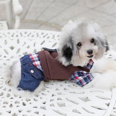 China Sustainable New Fashion Pet Supplies Padded Pet Clothes From Autumn And Winter Luxury Designer for sale