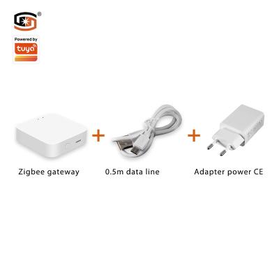 China Hosting Zigbee Gateway Device DC5V Host 2022 + 0.5m Data Cable + Adapter Outdoor Smart Control 60*60 USB Gateway (CE) for sale