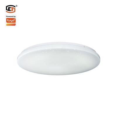 China LED Ceiling Panel Light 10W Outdoor Mounted Led Beacon CE ERP Cct+DIM NEW Tuya Smart Led Light For Home Ceiling Lamp APP Control for sale