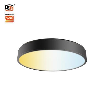 China Modern Led Smart Large Panel Light 800mm 70W Sigemsh Ceiling Light APP Control TDC Google Dimmable Alexa for sale