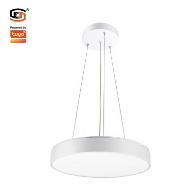 China Modern Led Panel Light 600mm 48W Zigbee Smart Ceiling Light Suspend APP CCT Smart Variable Dimmable for sale