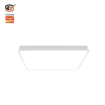 China Modern Smart Home Ceiling Light 48W Square Surface Mounted LED Panel Lights New Deign 2022 for sale