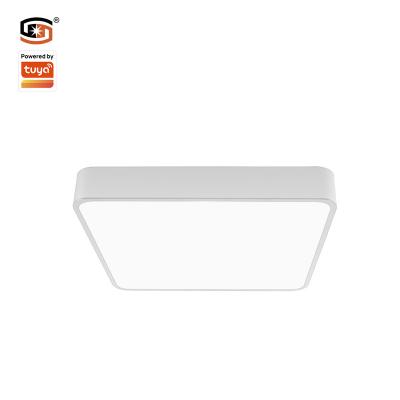 China Modern led indoor 70W farm house sigmesh tuya square LED smart panel light CCT variable panel lights for sale