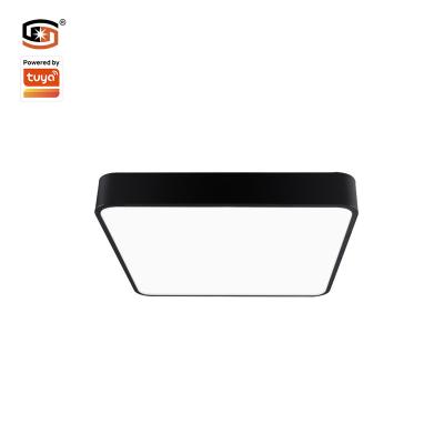 China Modern 36W Zigbee 3.0 Led Smart Panel Light Square Surface Mounted Tuya Smart Voice Control Alexa Google CCT+Dimming for sale