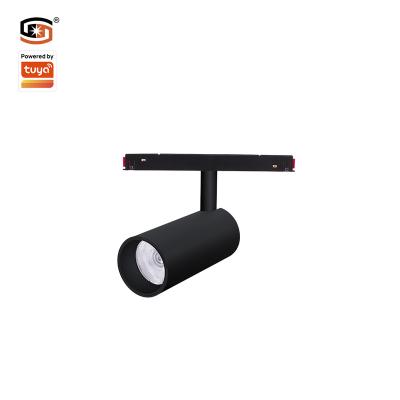 China Modern Magnetic Led Track Light COB 24W Sigmesh Alexa Google Smart Control CCT DIMMER Led Track Spot Light for sale