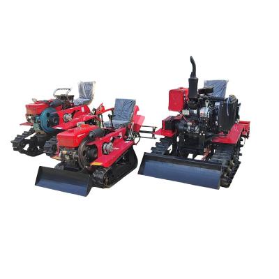 China Multifunctional Gasoline Tiller for Farm Tilling and Furrow Opening for sale