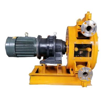 China Self Priming Sprayer Pump With Pressure Switch for Industrial Peristaltic Hose Pump for sale