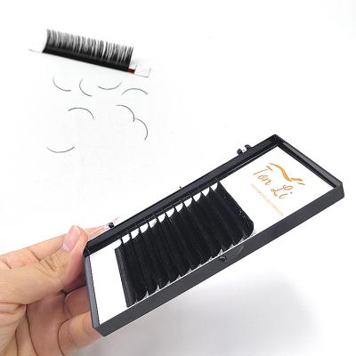 China Natural Sellers for Natural High Quality Classic Silk Eyelash Extension .12 strand Eyelash Extensions for sale