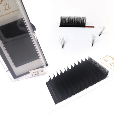 China Volume Fans Easy Professional Wholesale Mink Own Brand Volume Eyelash Extensions 0.03 Matte Eyelash Extension Easy Fans for sale