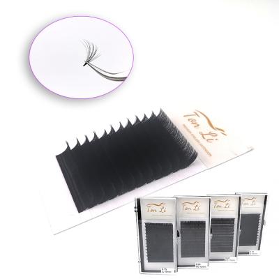 China Volume Easily Fans Eyelash Extension Beginner Premium Quality Mega Silk Volume Shaping Eyelash Extensions for sale