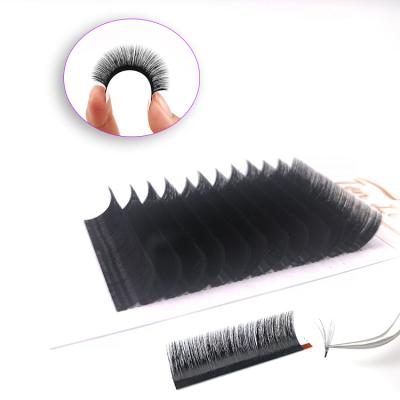 China Volume Fans Private Label Korea Easily Style Eyelash Extensions Silk Trays D Curl Blooming Eyelash Extensions for sale