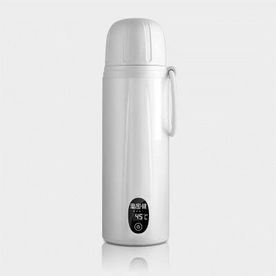 China simple & Portable Wholesale Portable Water Bottle Insulated Stainless Steel Thermo Double Wall Vacuum Water Heater for sale