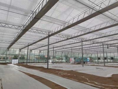 China Vegetable Greenhouse Liquid Soil Stabilizer Breeding Soil Solidifying Agent for sale