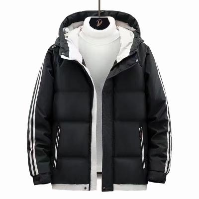 China QUICK DRY Multiple Colors High Quality Fabrics Keeps Warm Shops Warm Cotton Padded Jacket Windproof Locks Temperature for sale