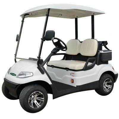 China High Tensile Steel Welded + PP Engineering Plastics 2 Seaters Non Gas Buggy Electric Golf Car Cart With NO. model LT-A627.2 for sale