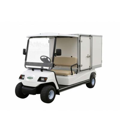 China High Tensile Steel Welded + PP Engineering Plastics 2 Seaters Electric Company Vehicle Household Car Cargo Golf Cart for sale