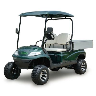 China Metal+Plastic 2 Seaters Lifted Electric Vehicle Cart Golf Utility Car with Cargo Box (LT-A627.H8G) for sale