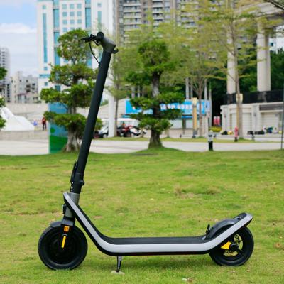 China Original new arrival unisex foldable electric scooter for sale 300W 36V for sale