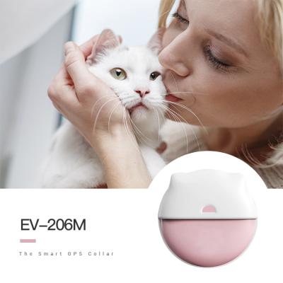 China LIVE Tracking EV-206M WIFI Location Pets GPS Tracking Collar 4G CAT-M Puppy Kitten Smallest GPS Tracker Collar for sale