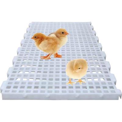 China Farms Plastic Slat Floor For Goat Farm In Pakistan Plastic Slat Floor For Piglet Quail Slat Floor for sale