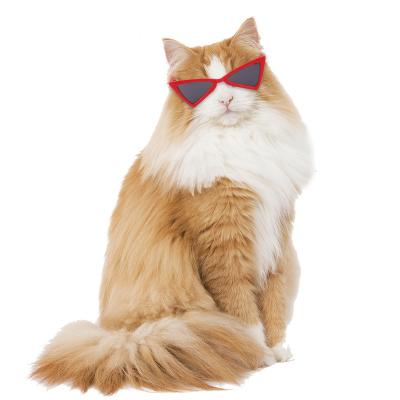 China Cute Dogs Stocked Cat Glasses 2022 Pet Sunglasses Small Pet Accessories Decoration Wholesale Plastic Dog Sunglasses for sale