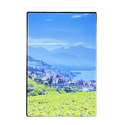 China Smart Home Screen 3.54 Inch TFT LCD Display Screen TFT LCD Panel High Resolution IPS Module 640*960 OEM for sale