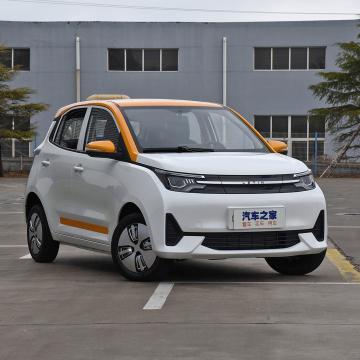 China Leather 2021 100/h super fast adult letin mango electric car high speeds with resistance 150-300km for sale