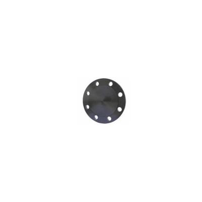 China Fast Delivery Carbon Steel Blind Flange Dn125 Din 2527 Ff for sale