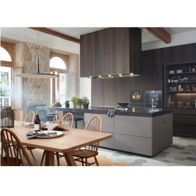 China Veneer Finished Modern Style Kitchen Cabinet for Old Kitchen Renovation for sale