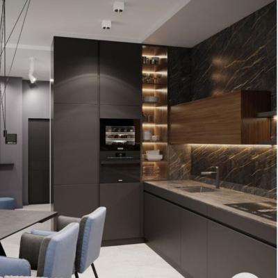 China Customized Kitchen Furniture with Lacquer Door Panel and Quartz Stone Countertop for sale