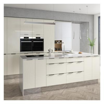 China Custom Modular Kitchen Cabinets with Glossy Paint-Free Design and Shaker Door Panel for sale